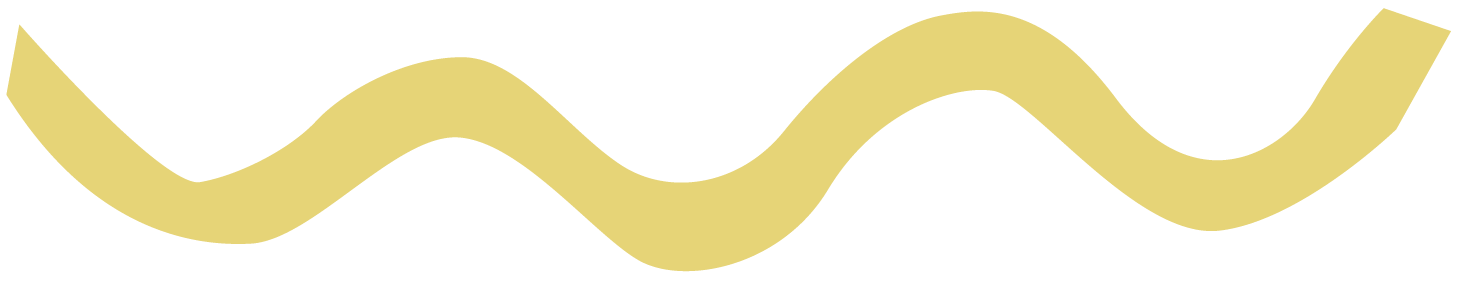 The Trend List Summer 25 Landing Page squiggle