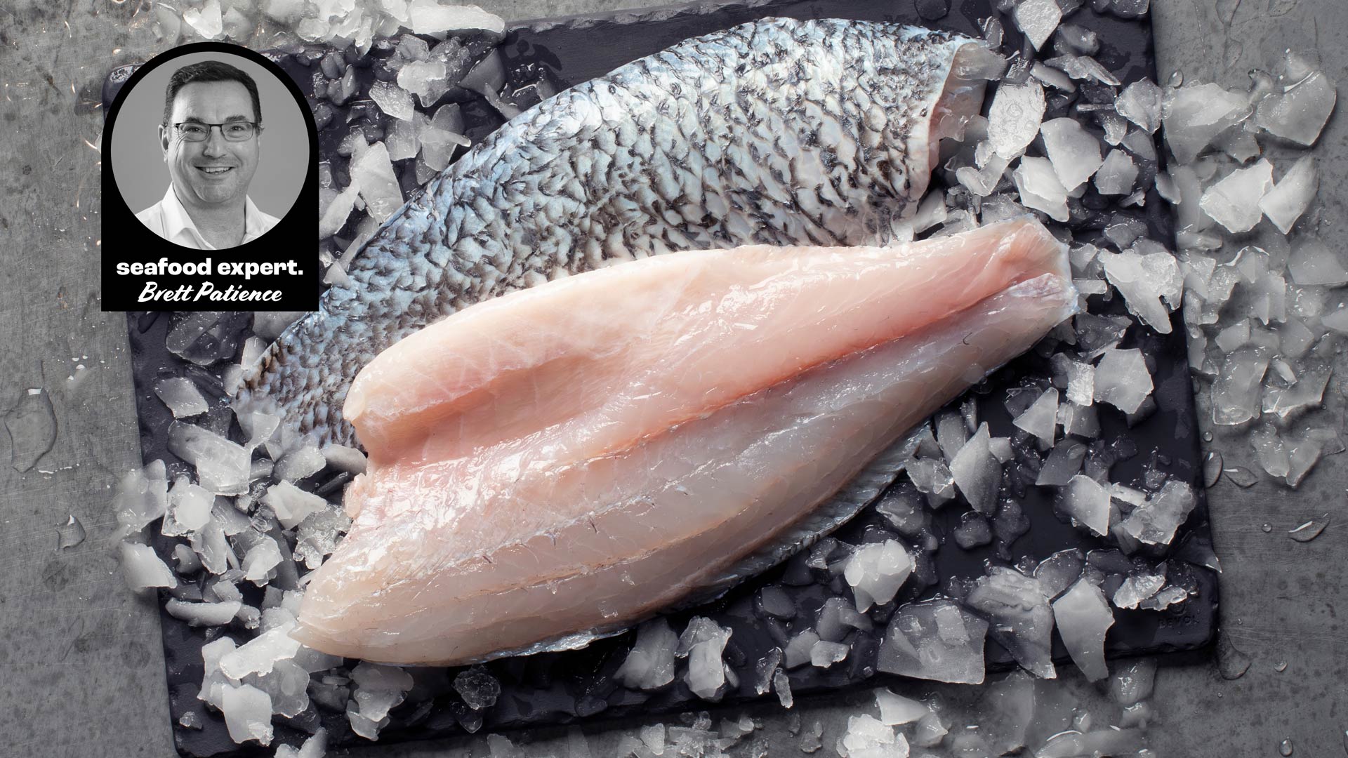 The Catch: barramundi 1 Close-up view of two barramundi fillets on a bed of ice. One fillet has its skin on, displaying a pattern of scales, while the other is skinless, revealing the pinkish-white flesh. A circular inset in the top left corner features a black and white photo of a person labeled "seafood expert. Brett Patience."