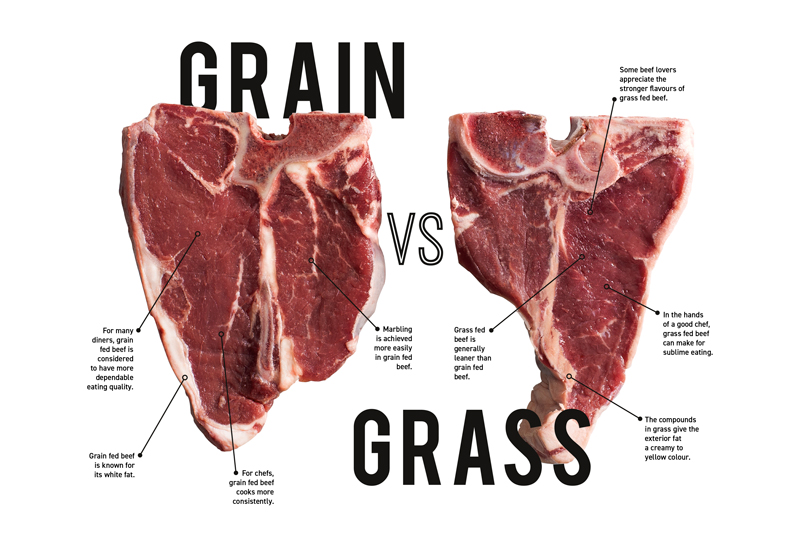 aMag Win22 Blog Grain vs Grass