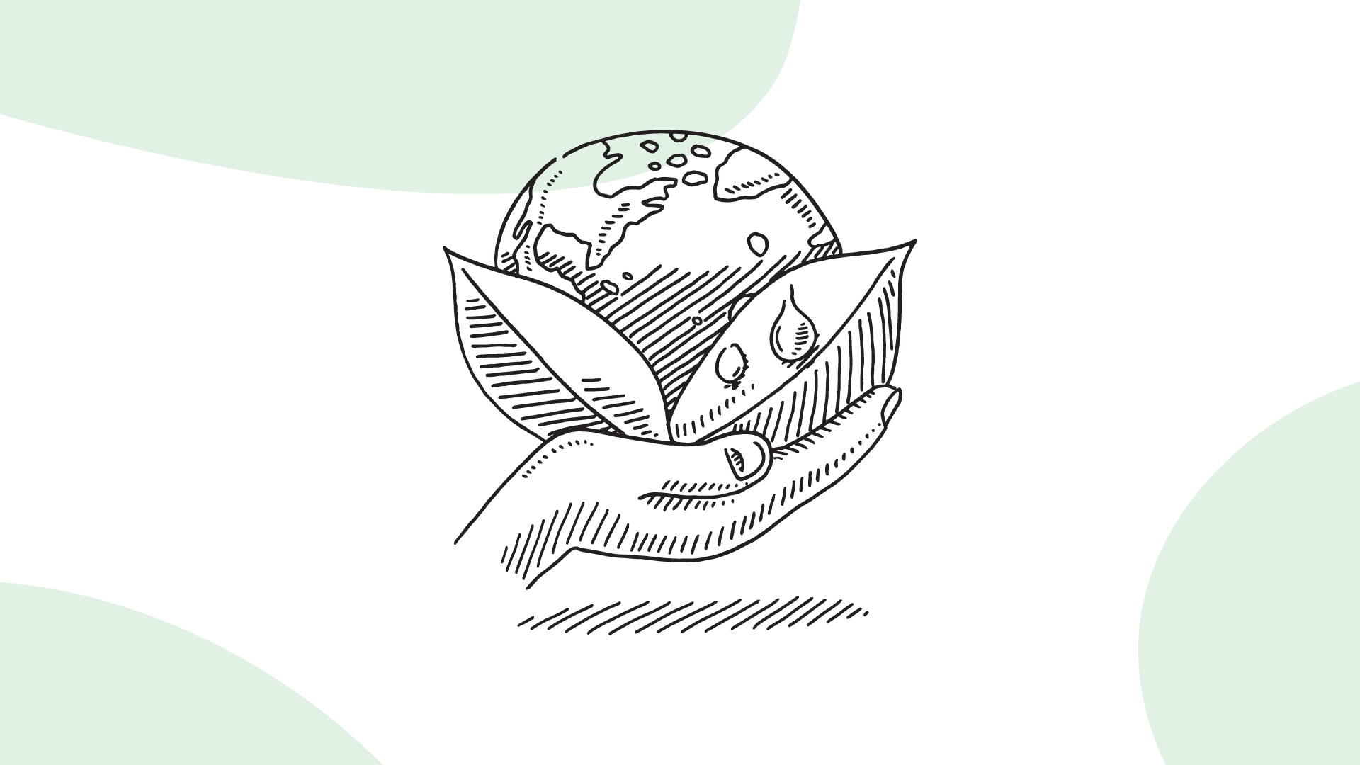 The rise of the green canteen Bidfood Australia